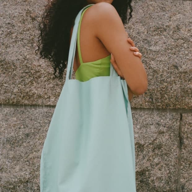 Maryam nassir zadeh birthday bag