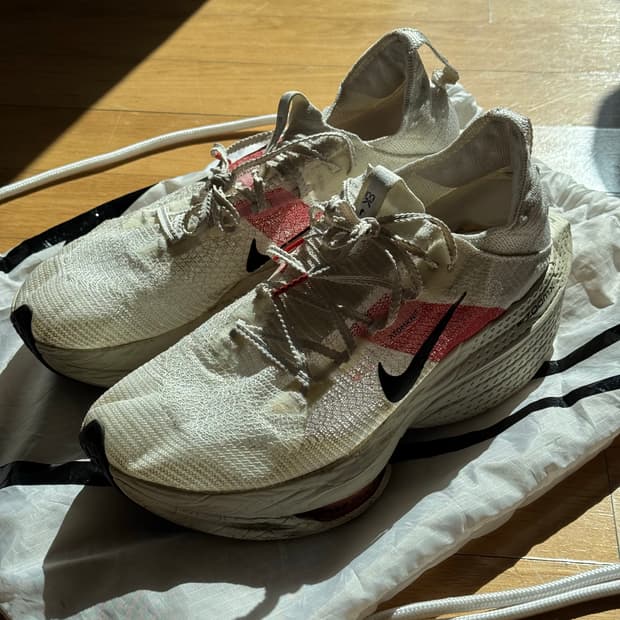 나이키 알파플라이2 킵초게