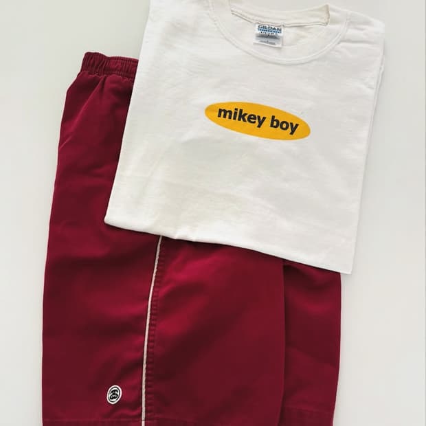 90s Stussy Shorts