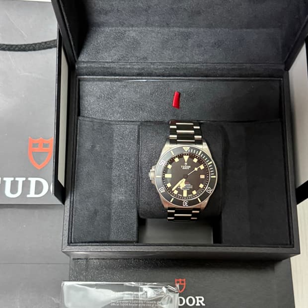 튜더 펠라고스 LHD