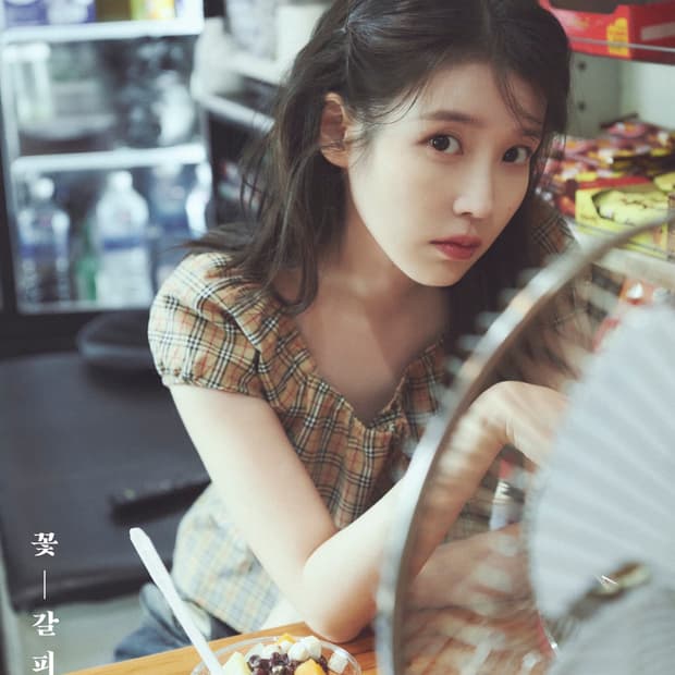 Burberry 블루라벨 아이유 노바체크 퍼프 블라우스 ≽^•⩊•^≼