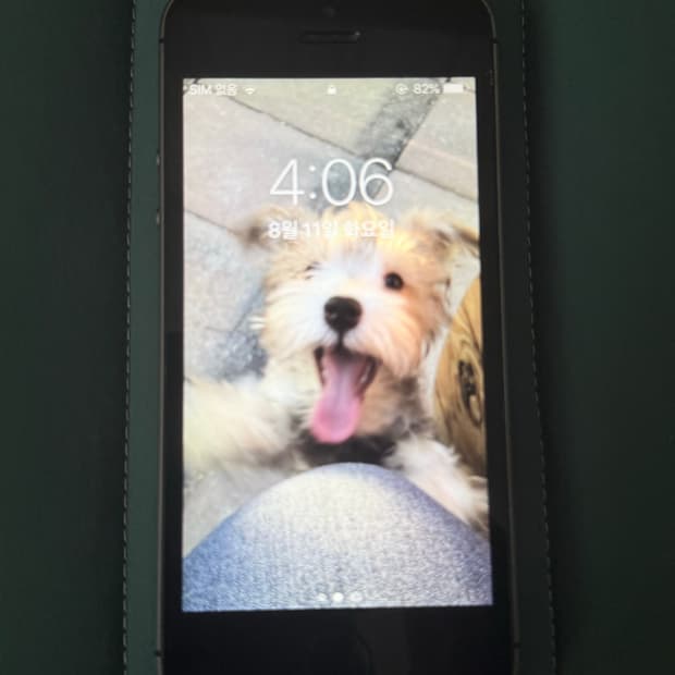 아이폰 5s 스페이스그레이 16GB