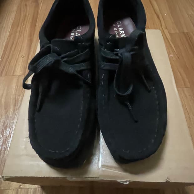 클락스 왈라비230