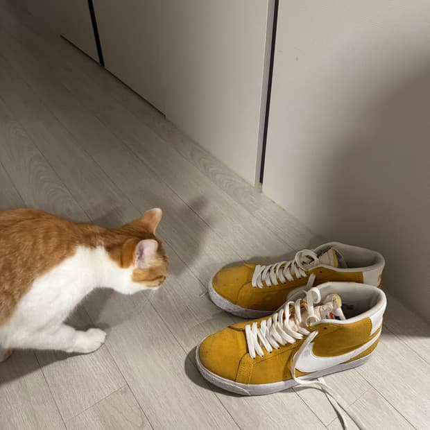 나이키 블레이저 미드