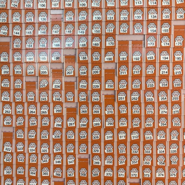 행운의 랜덤뽑기