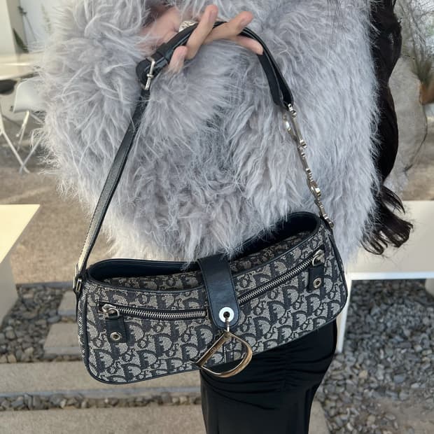 디올 오블리크 D참 바게트백