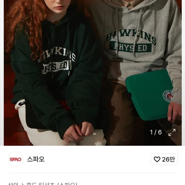 스파오 기묘한 이야기 호킨스 후드티