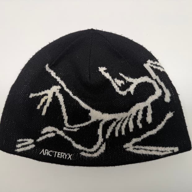 아크테릭스 버드 헤드 토크 오르카 비니