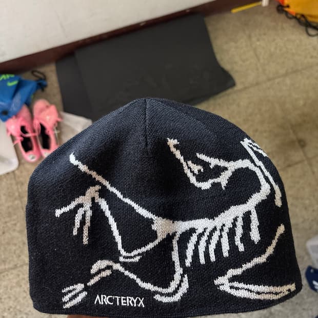 아크테렉스 비니