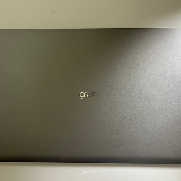 LG 그램 15ZD90N-VX5BK (2020)