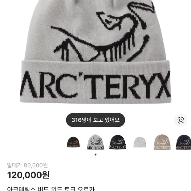 아크테릭스 비니 화이트 미개봉