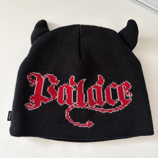 팔라스 뿔 비니