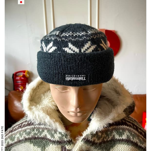 JPN Vintage Thinsulate Multi Knit Beanie