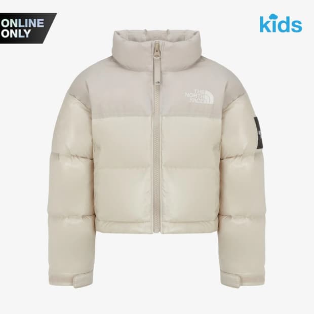 노스페이스 패딩s