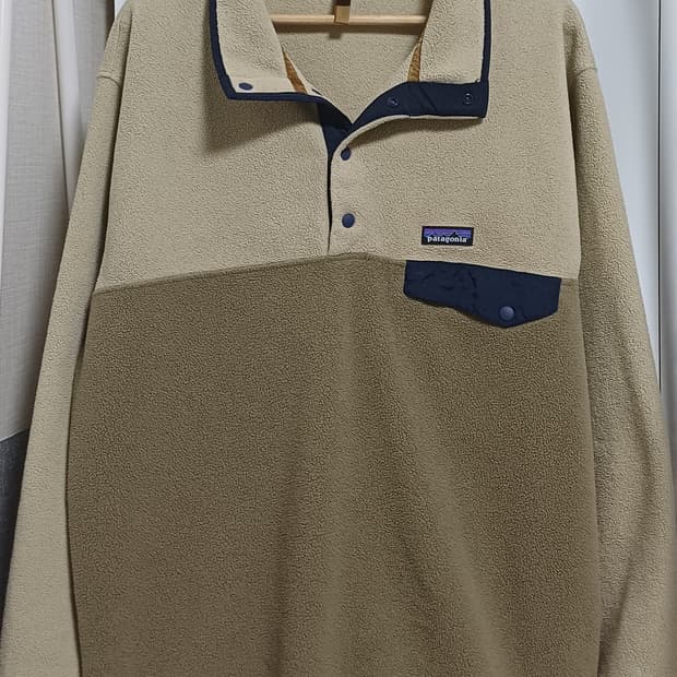 🇳🇮 [L] 파타고니아 신칠라 스냅티 - 애쉬 탄