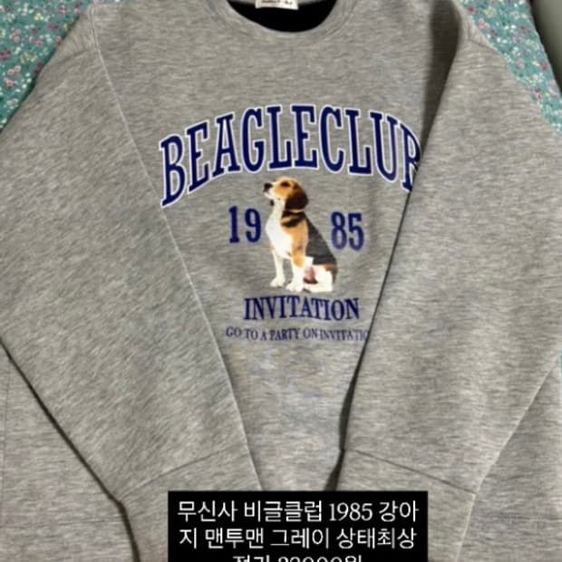 무신사 강아지 맨투맨