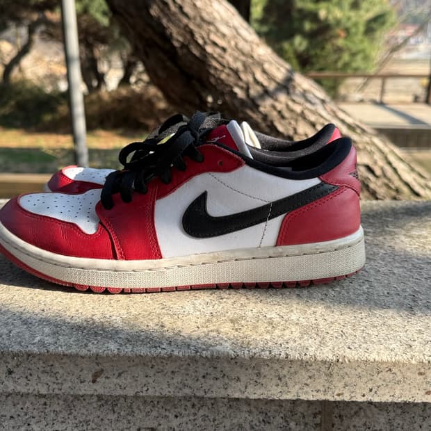 조던 시카고 골프