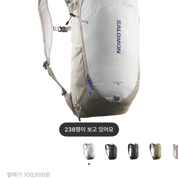 살로몬 트레일블레이저 10 그레이