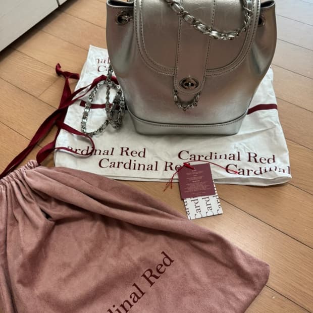 카디널레드 하우아백 실버 백팩