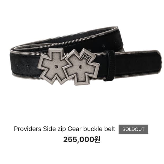 프로바이더스 providers 송치벨트