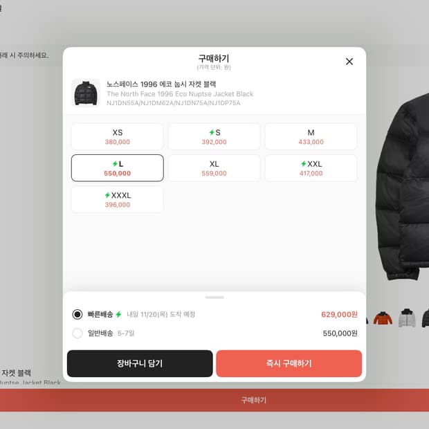 노스페이스 에코 눕시 1996 L사이즈