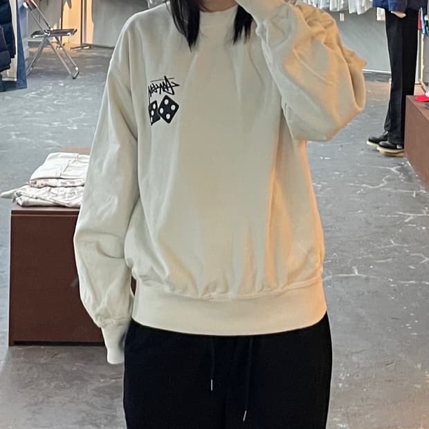 스투시 다이스 피그먼트 다이드 크루넥 맨투맨 H1388