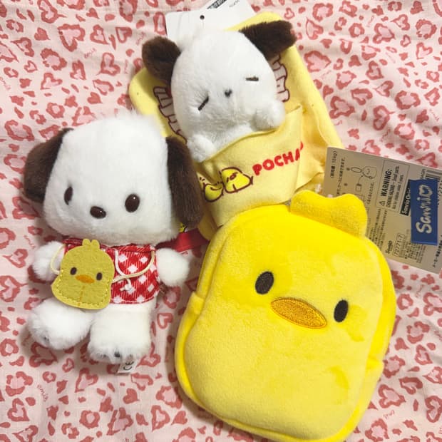 포챠코 신작 세트 및 5colors 코구마