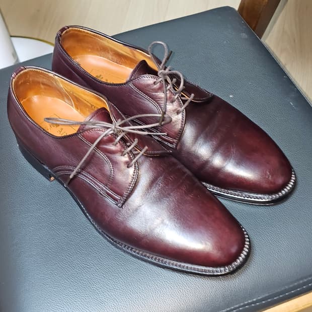 alden 알든 플레인토 베리라스트 카프스킨