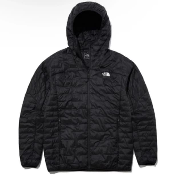 노스페이스 경랑패딩(L)