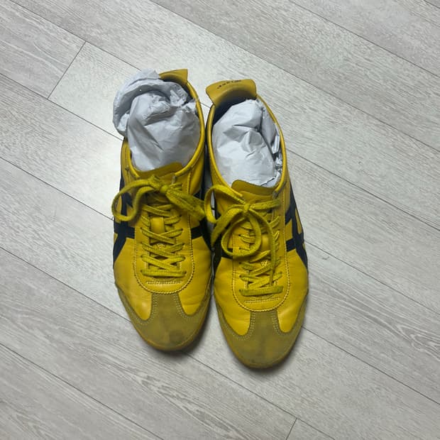 오니츠카 타이거 290 