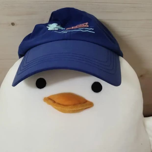 bear logo cap in blue