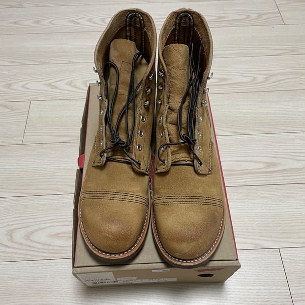 레드윙 8083 10.5d 285