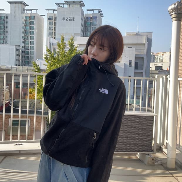 THE NORTH FACE 고프코어 플리스 후드 자켓