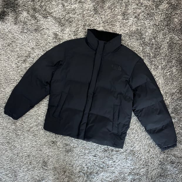노스페이스 남성 패딩 (100)