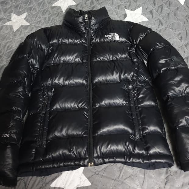 노스페이스 구스다운 700 유광패딩 (S) NFD00988