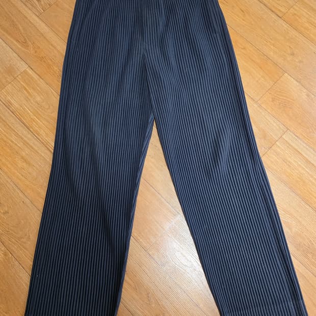 이세이미야케 옴므플리세 팬츠