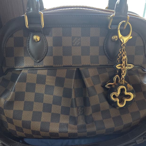 루이비통 트레비백 캔버스PM 다미에 에벤