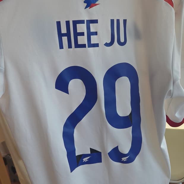 수원삼성 2014-2015 어웨이 유니폼 곽희주 ACL