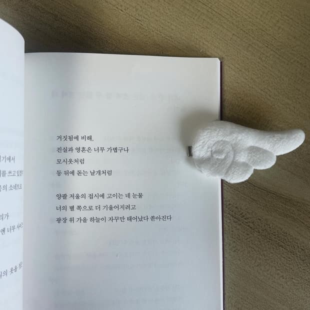 wing bookmark