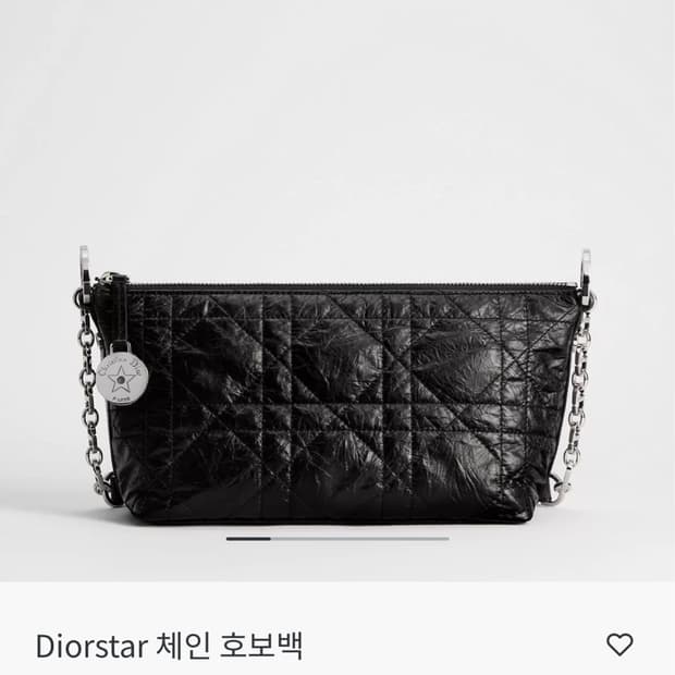 디올스타 체인 호보백