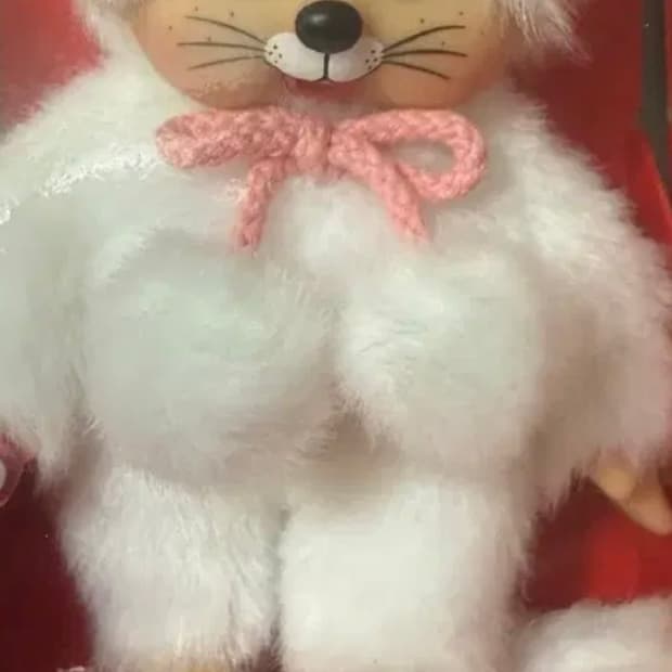 EU한정고양이몬치치