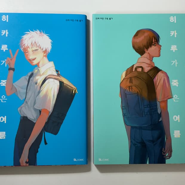 히카루가 죽은 여름 만화책