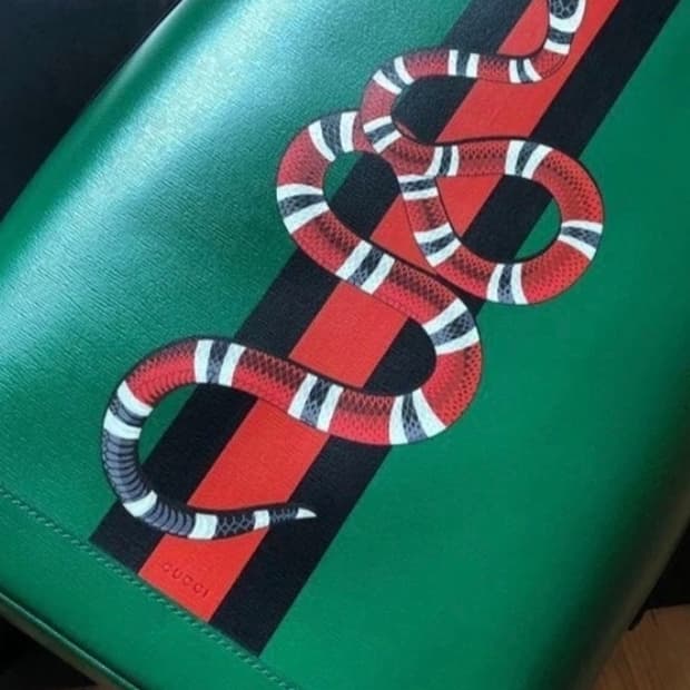 구찌 스네이크 백팩