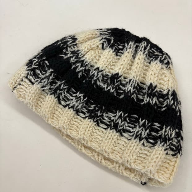 디올옴므 06fw 비니