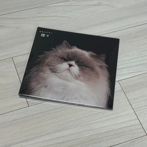 [미개봉] 카네코아야노 Kanekoayano 4집 - 산산 San San