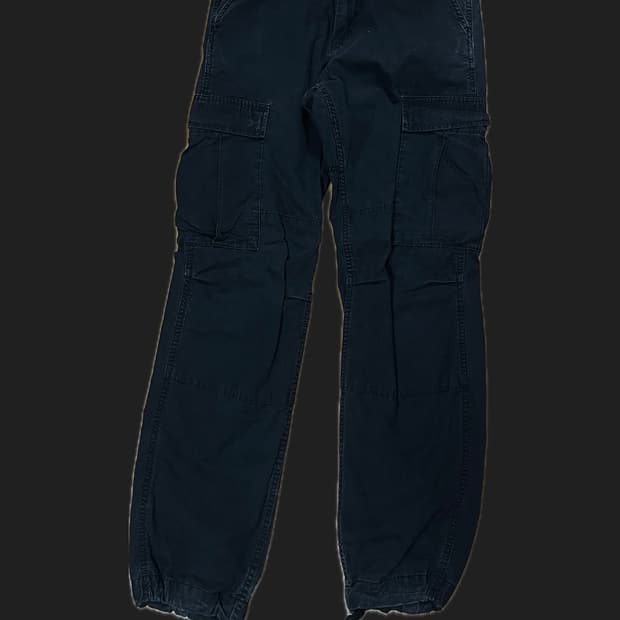 칼하트 wip 카고바지 29