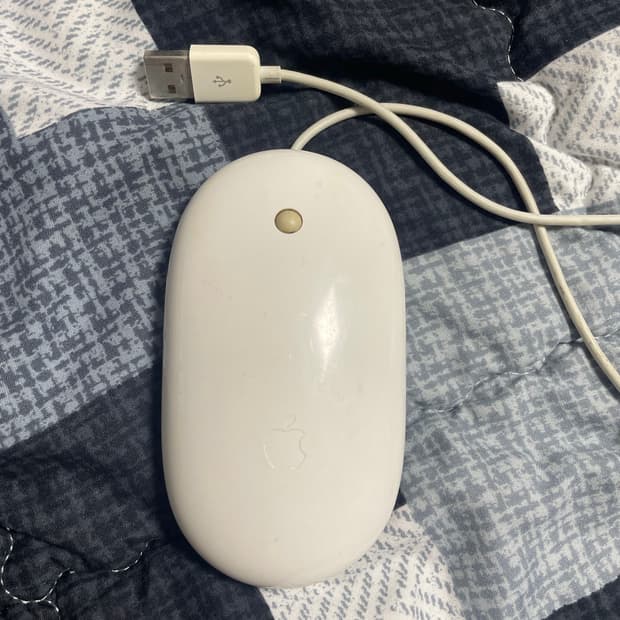 애플 유선 마우스