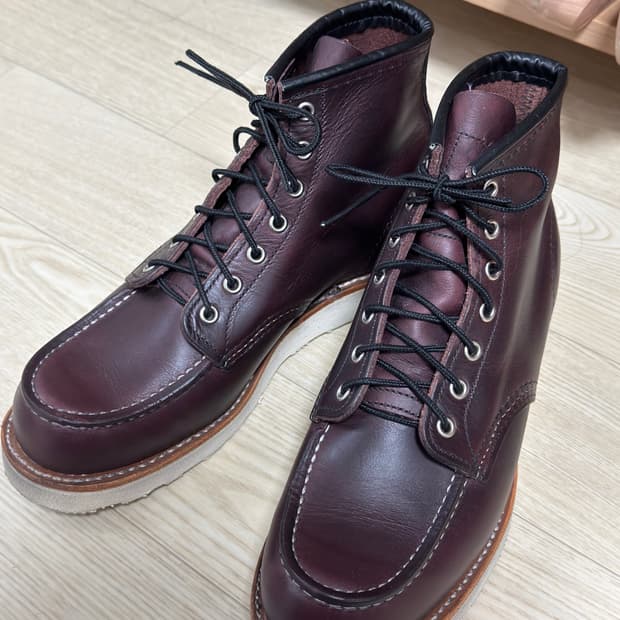 레드윙 목토: 8847 블랙 체리 엑스칼리버 / 265