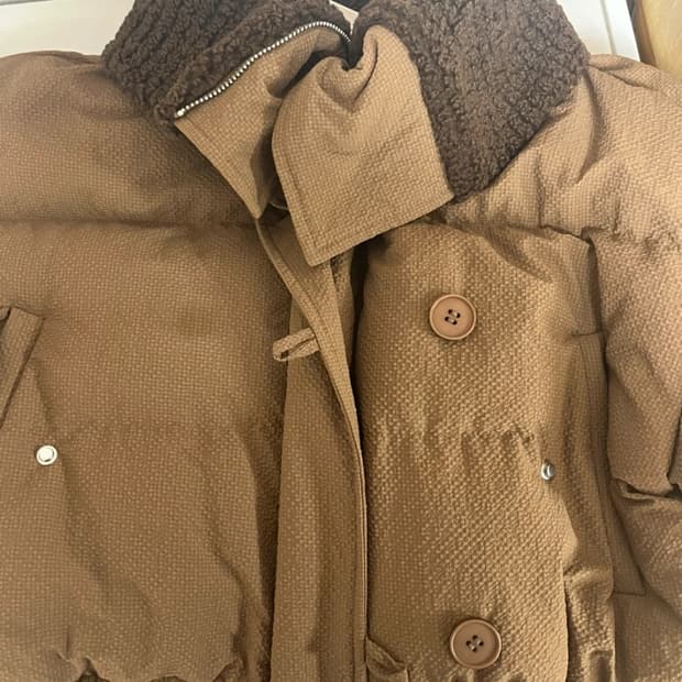 브라운 카라 숏패딩 새거