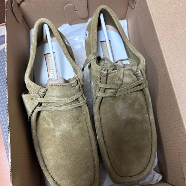 클락스 왈라비 데이지 270 새제품